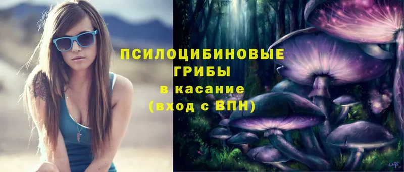 закладка  Красноуфимск  OMG зеркало  Галлюциногенные грибы Psilocybe 